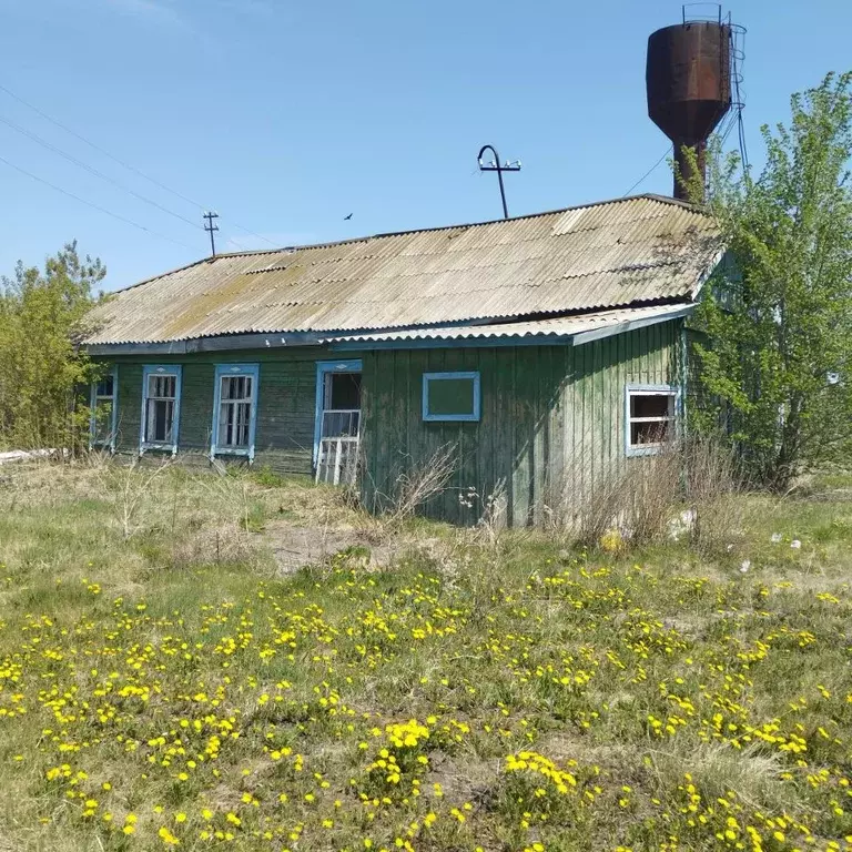 Помещение свободного назначения в Омская область, Омский район, с. ... - Фото 2