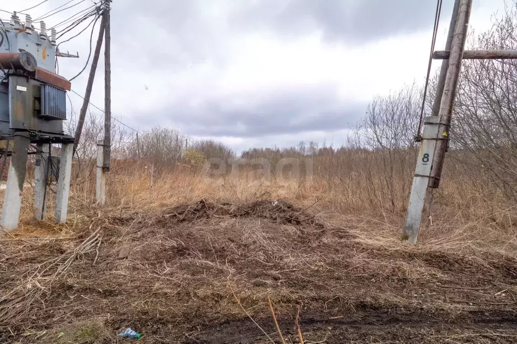 Участок в Тюменская область, Тюмень городской округ, Сосновая Поляна ... - Фото 1