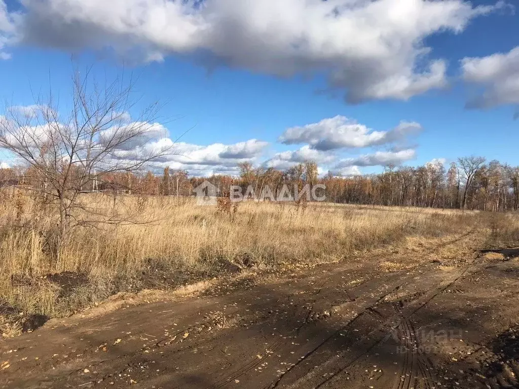 Участок в Воронежская область, Воронеж ул. Совхозная, уч21 (12.0 сот.) - Фото 1