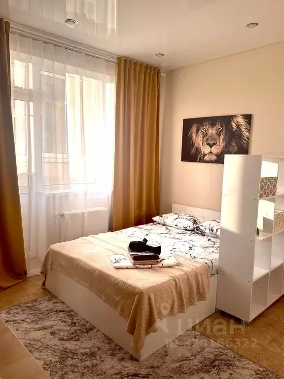 1-к кв. Краснодарский край, Краснодар ул. Домбайская, 55 (24.0 м) - Фото 0