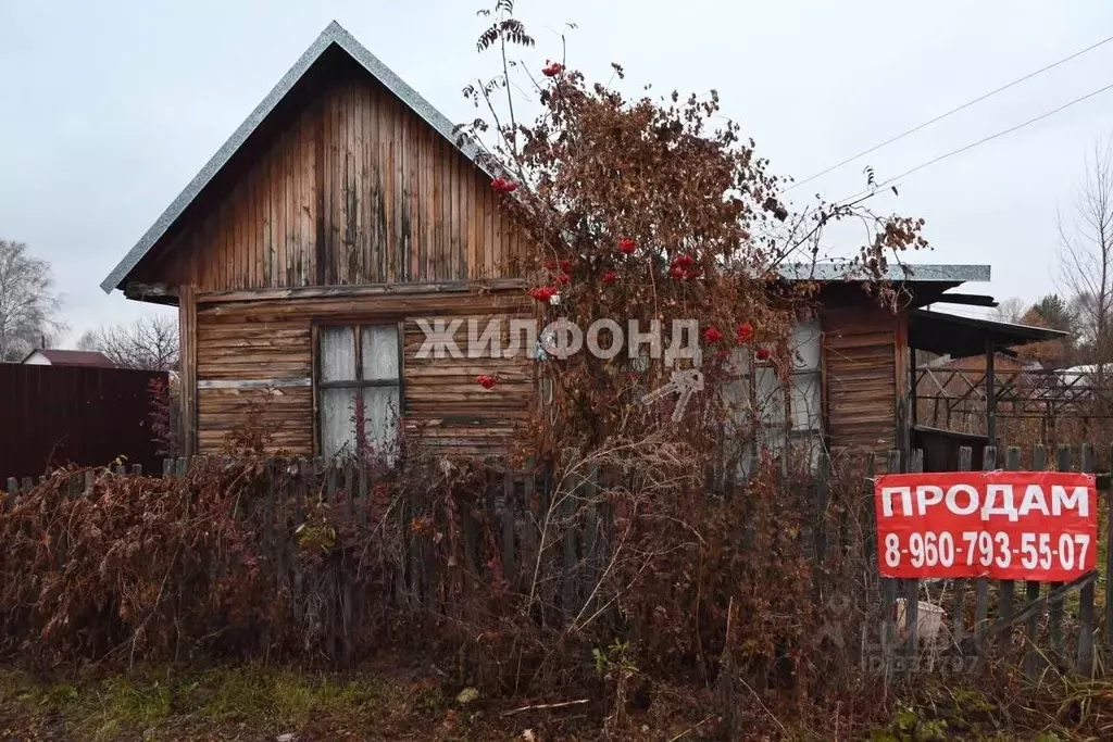 Купить Дачу В Бердске Снт Запрудный