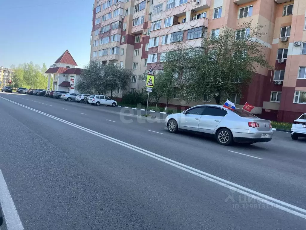 1-к кв. Белгородская область, Строитель Яковлевский городской округ, ... - Фото 1