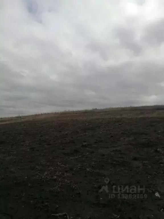 Участок в Белгородская область, Белгородский район, Беловское с/пос, ... - Фото 1