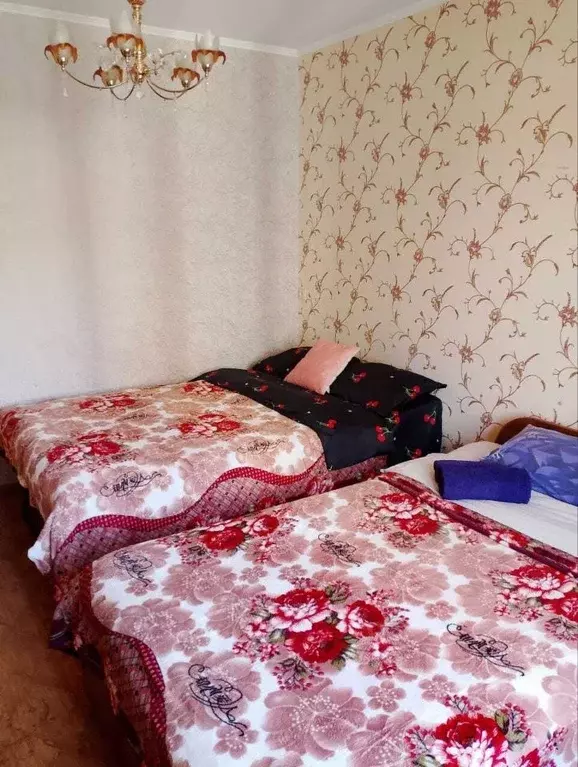Комната Санкт-Петербург ул. Есенина, 14К2 (14.0 м) - Фото 2