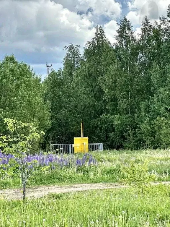 Участок в Московская область, Клин городской округ, д. Грешнево  (20.0 ... - Фото 0