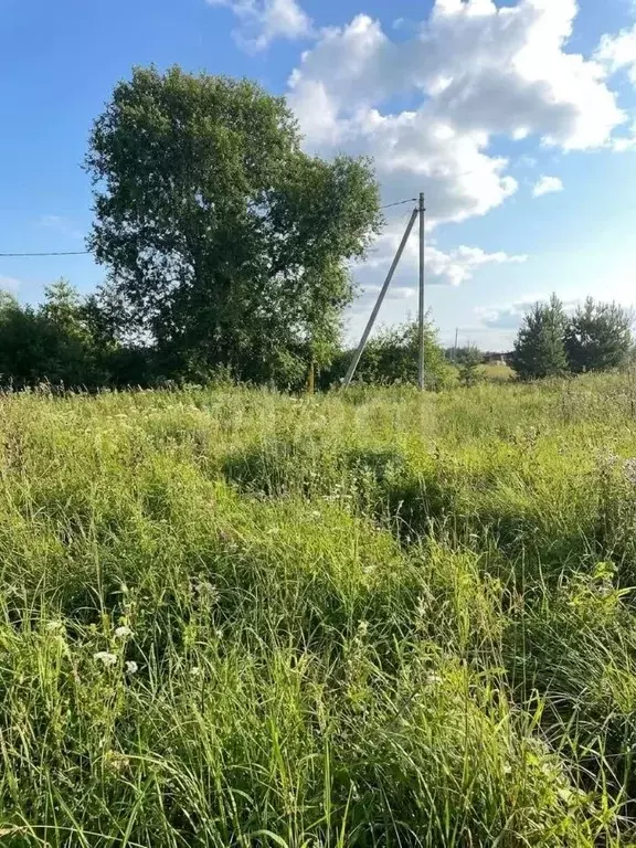 Участок в Владимирская область, Ковровский муниципальный округ, д. ... - Фото 2