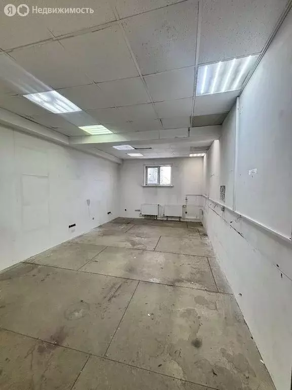 Офис (28.97 м) - Фото 1