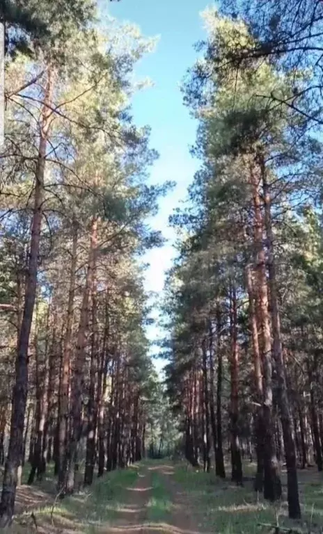 Дом 81,8 м на участке 26,5 сот. - Фото 1