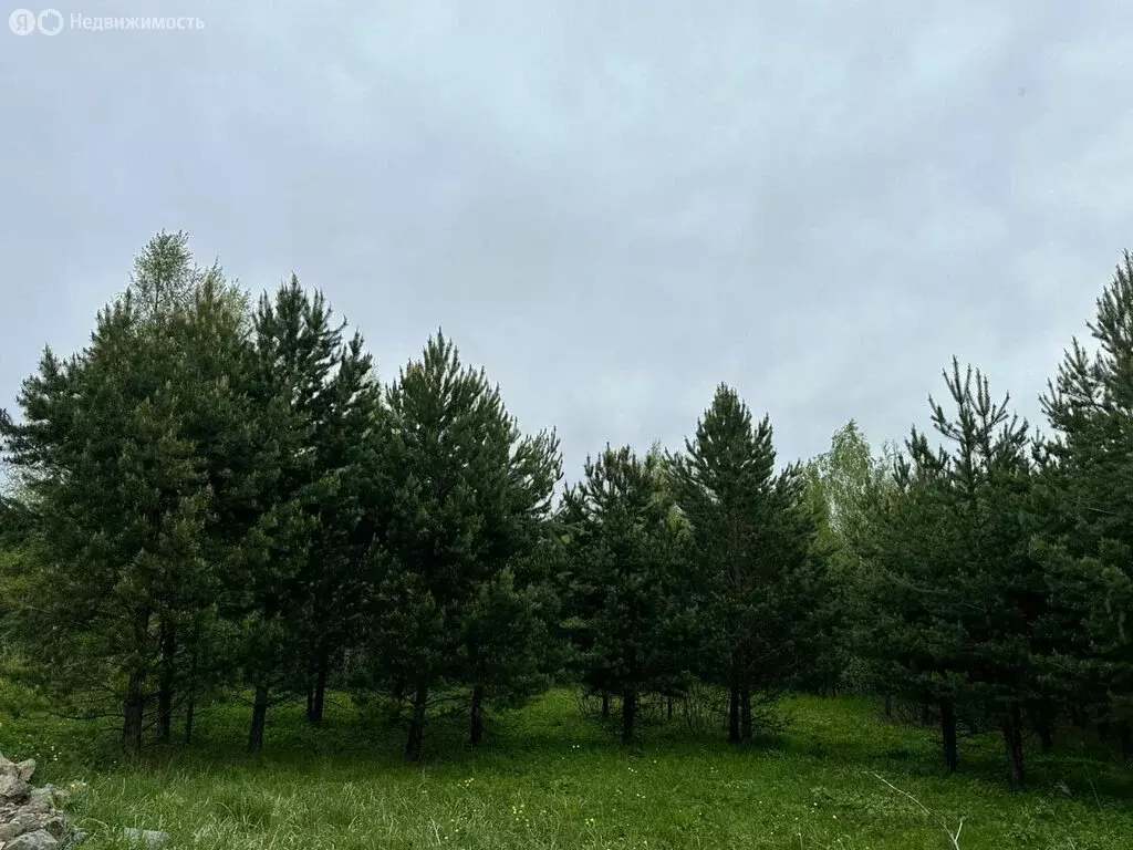 Участок в посёлок Гагарский, загородный комплекс Лайф, 2-я Парковая ... - Фото 1