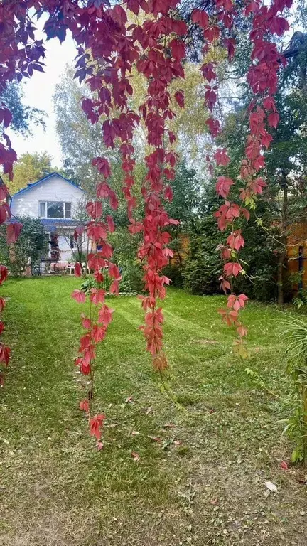 Дом в Московская область, Пушкино Звягино мкр, ул. Воровского, 18 (84 ... - Фото 2