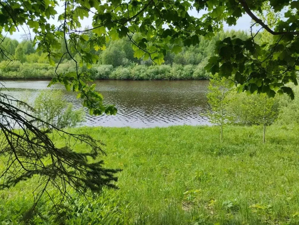 Дом в Костромская область, Костромской район, Сандогорское с/пос, д. ... - Фото 1