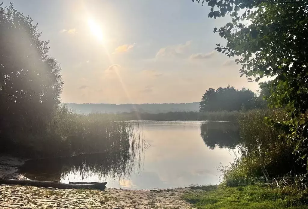 Участок в Воронежская область, Рамонь рп ул. Пристанционная, 80 (9.3 ... - Фото 2