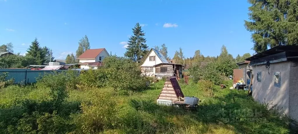 Участок в Ленинградская область, Всеволожский район, Романовское ... - Фото 0