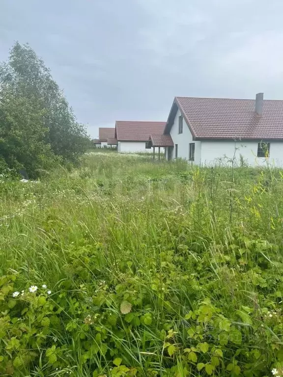 Участок в Калининградская область, Зеленоградский муниципальный округ, ... - Фото 1