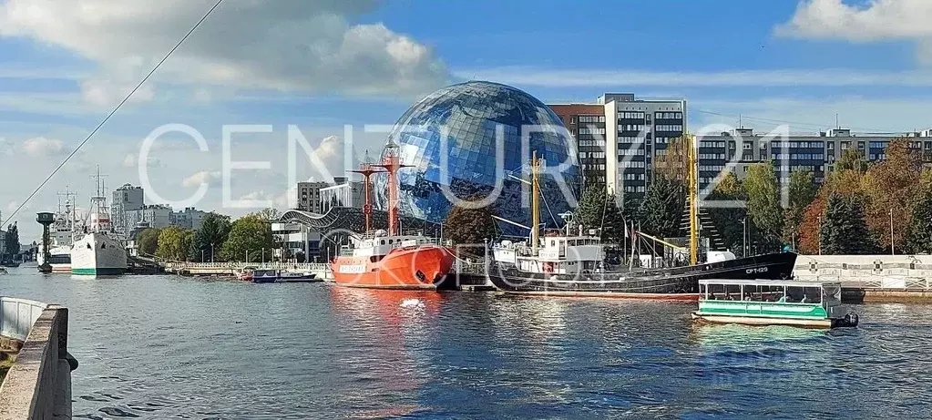 3-к кв. Калининградская область, Калининград Ленинский просп., 89 ... - Фото 1