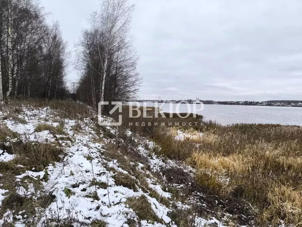 Участок в Ярославская область, Некрасовский муниципальный округ, д. ... - Фото 2