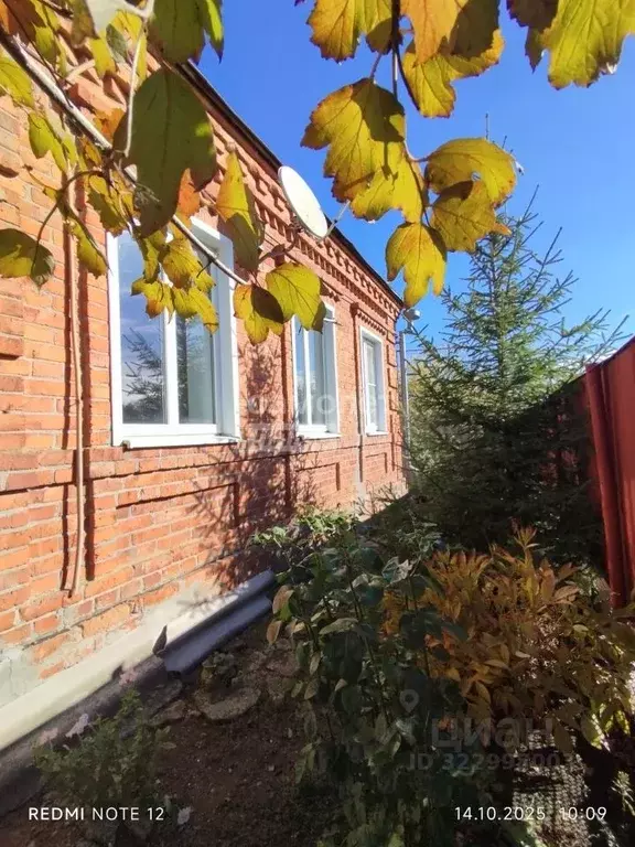 Дом в Краснодарский край, Щербиновский район, Новощербиновская ст-ца ... - Фото 2