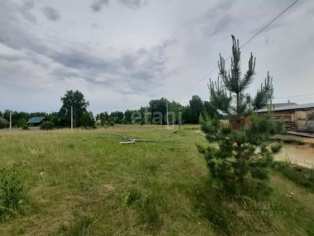 Участок в Алтайский край, Бийск городской округ, с. Фоминское пер. ... - Фото 0