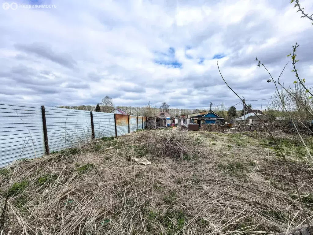 Участок в Новосибирский район, Станционный сельсовет, станция ... - Фото 1