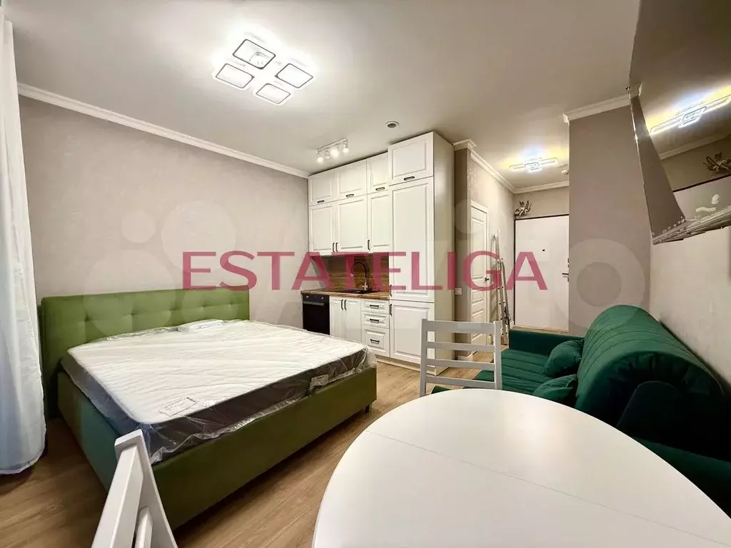 Квартира-студия, 24,8 м, 9/30 эт. - Фото 0