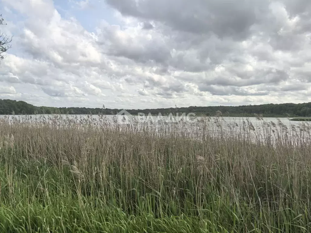 Участок в Калининградская область, Багратионовский муниципальный ... - Фото 0