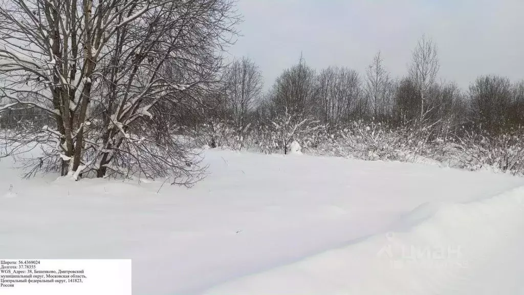 Участок в Московская область, Дмитровский муниципальный округ, д. ... - Фото 2