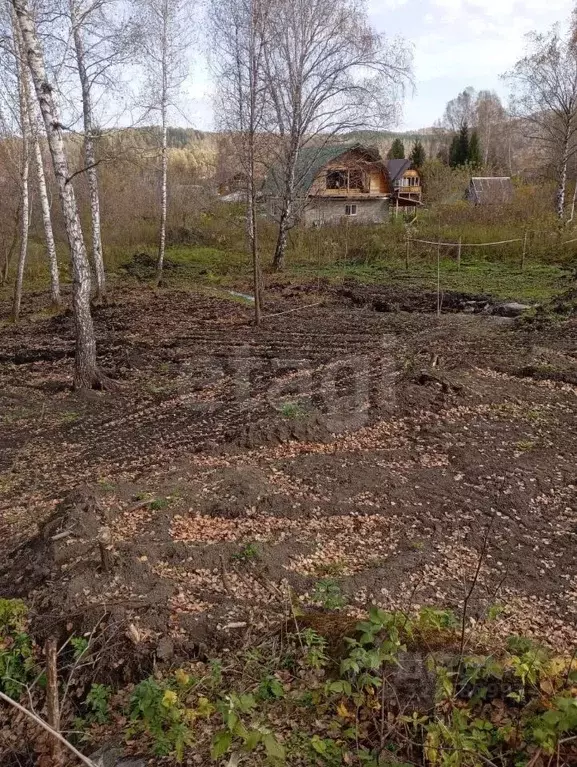 Участок в Алтайский край, Алтайский район, Айский сельсовет, с. Ая  ... - Фото 1