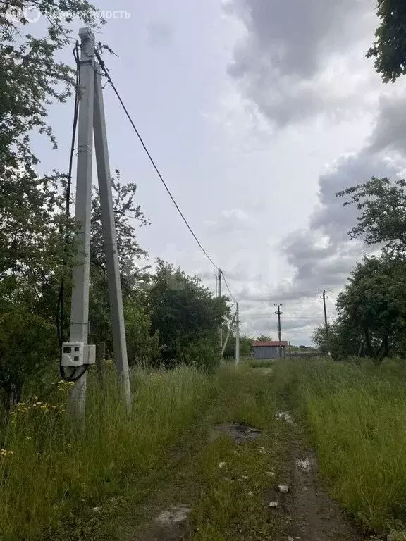 Участок в Калининградская область, Гурьевский муниципальный округ, ... - Фото 2