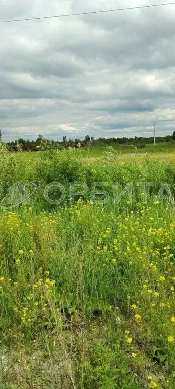 Участок в Тюменская область, Тюмень Центральная пл. (11.0 сот.) - Фото 1