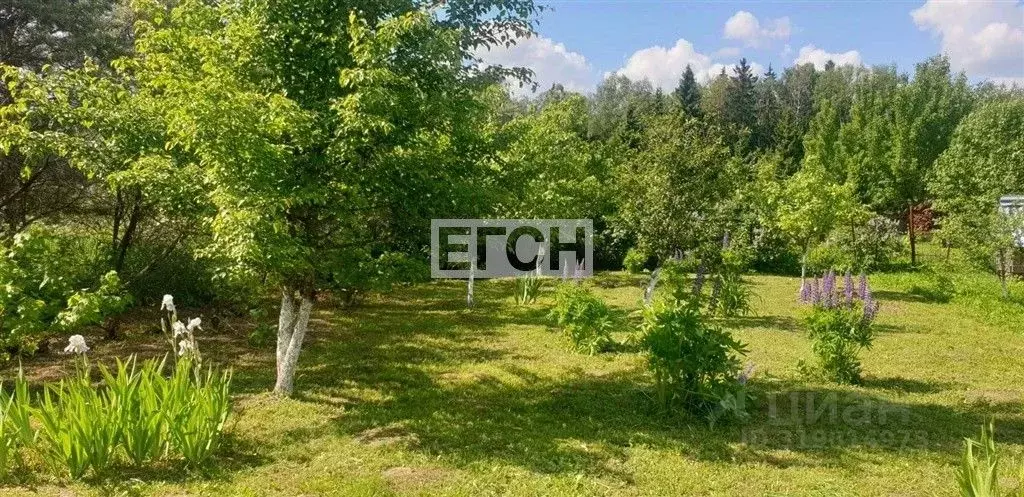 Участок в Московская область, Солнечногорск городской округ, д. ... - Фото 1