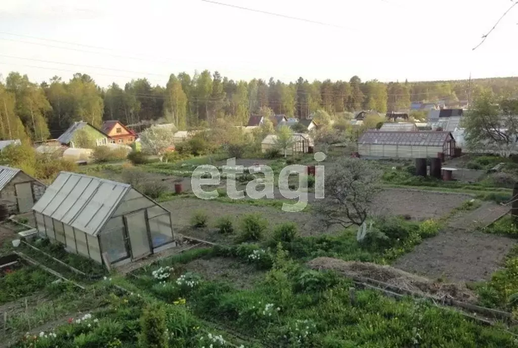 Участок в Свердловская область, Нижний Тагил Сосновая ул., 13/23 (6.0 ... - Фото 0