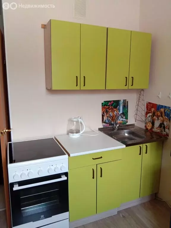 Квартира-студия: село Криводановка, Микрорайон, 8А (16.6 м) - Фото 1