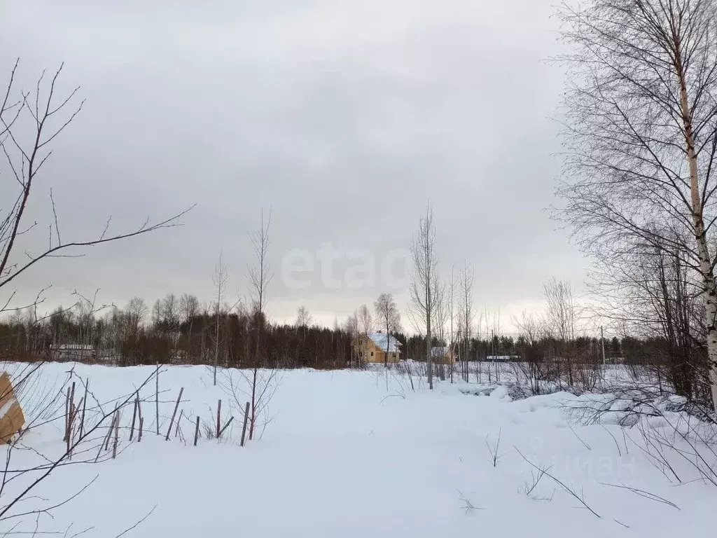 Участок в Архангельская область, Приморский муниципальный округ, пос. ... - Фото 1