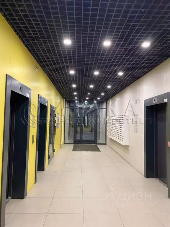 Студия Санкт-Петербург ш. Суздальское, 30к2 (25.7 м) - Фото 2