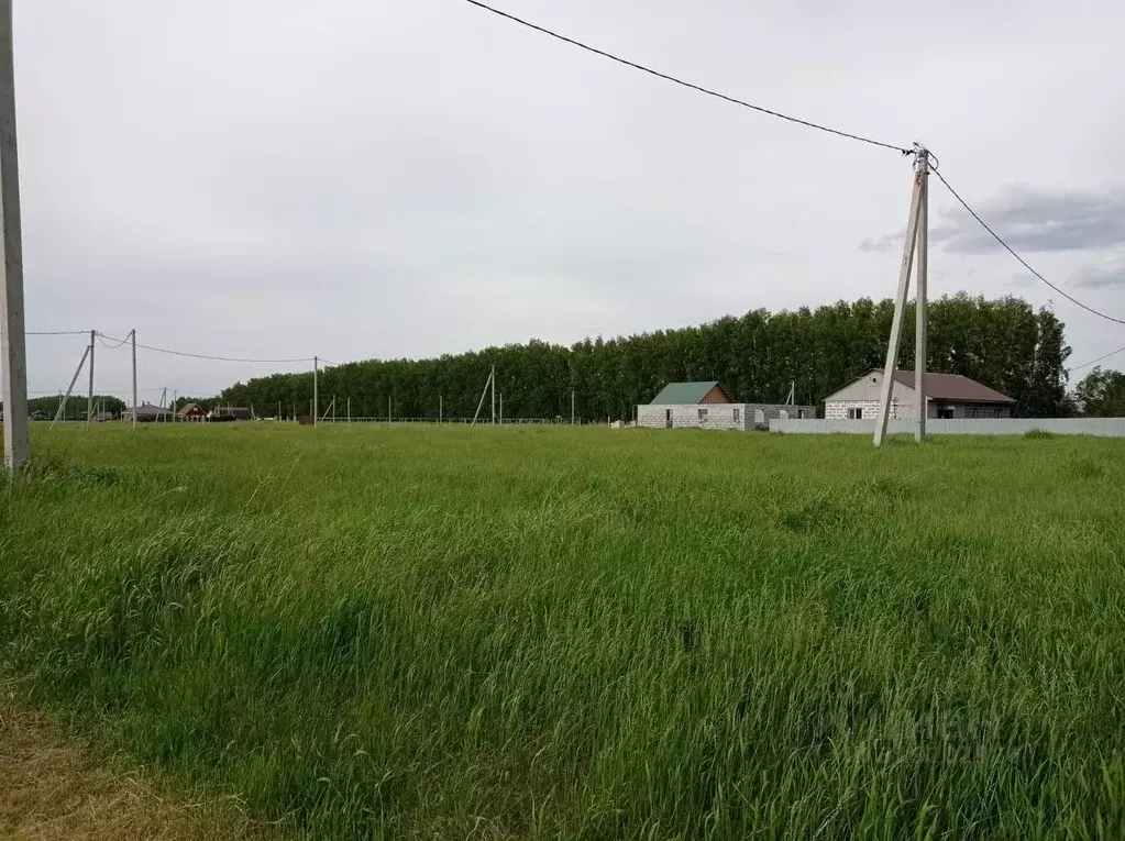Участок в Омская область, Омский район, с. Усть-Заостровка  (5.0 сот.) - Фото 1