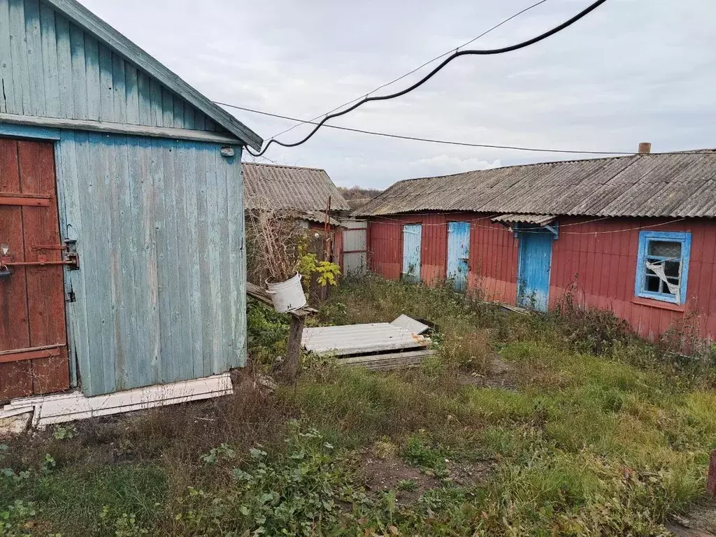 Дом в Воронежская область, Острогожский район, Сторожевское 1-е с/пос, ... - Фото 2
