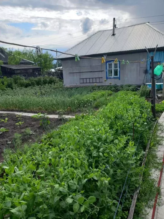 Дом в Кемеровская область, Мыски Крайняя ул. (52 м) - Фото 1