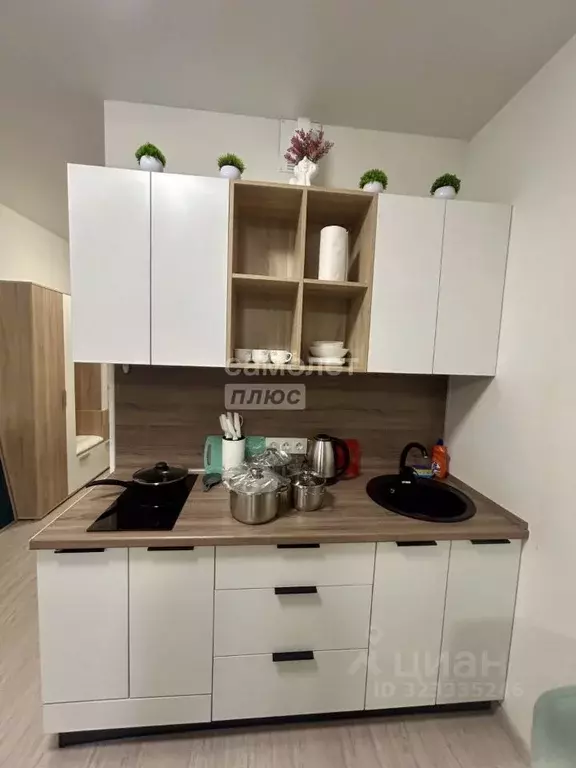 Студия Краснодарский край, Анапа ш. Супсехское, 39к17 (28.0 м) - Фото 2