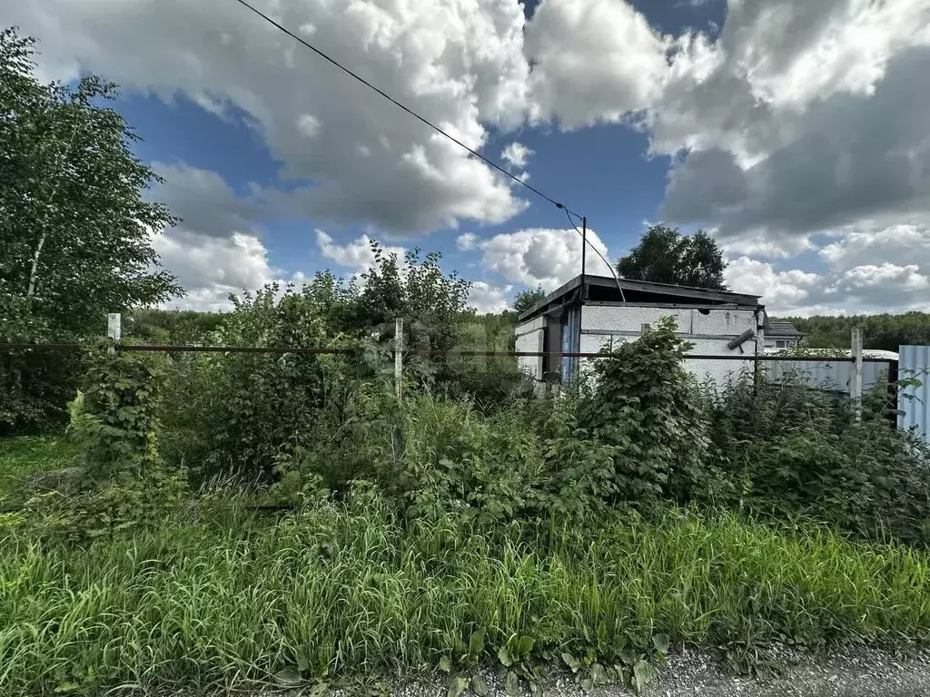 Участок в Новосибирская область, Искитимский район, Чернореченский ... - Фото 1