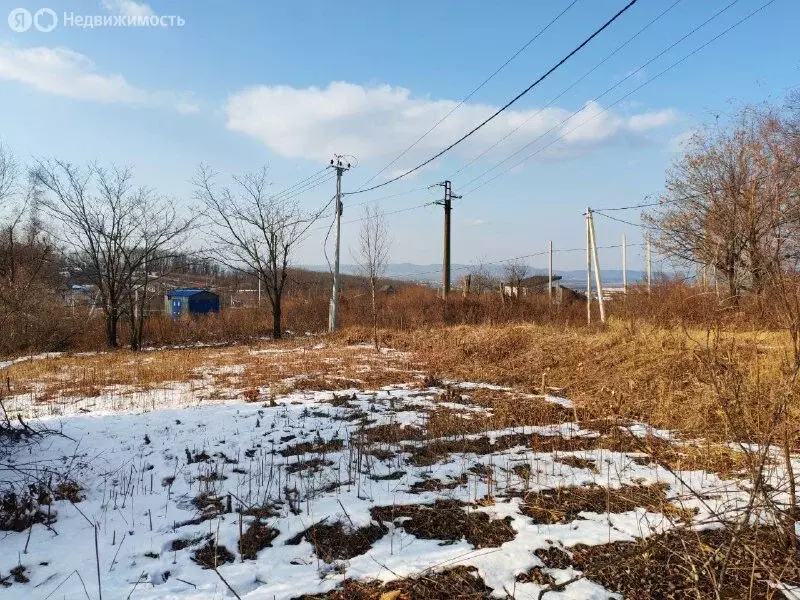 Участок в Артём, СТ Солидарность (10 м) - Фото 2