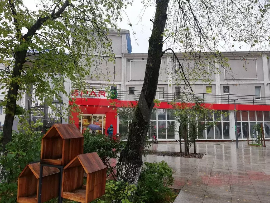 Торговая площадь в Калининградская область, Зеленоградск ул. ... - Фото 2