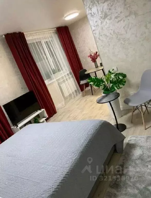 Студия Амурская область, Благовещенск ул. Шимановского, 5 (30.0 м) - Фото 2