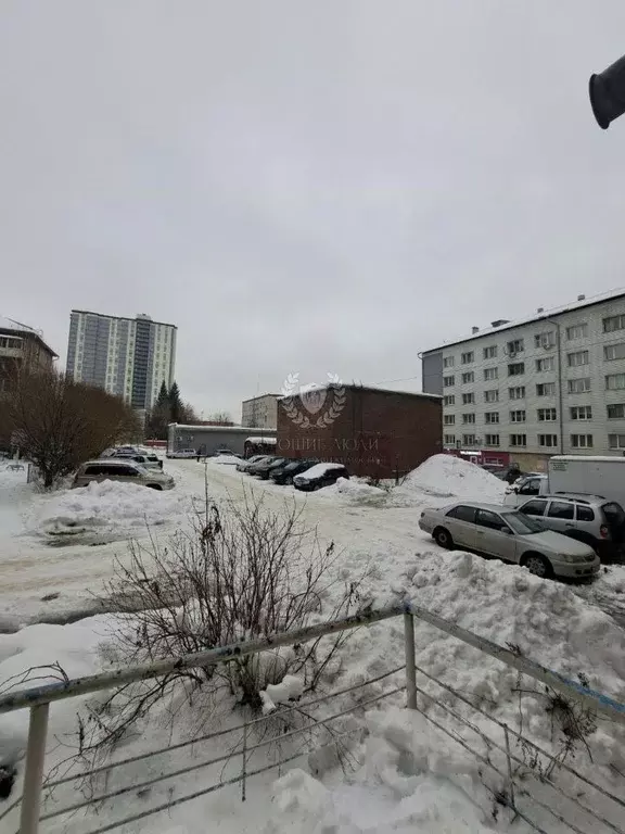 Помещение свободного назначения в Новосибирская область, Новосибирск ... - Фото 2