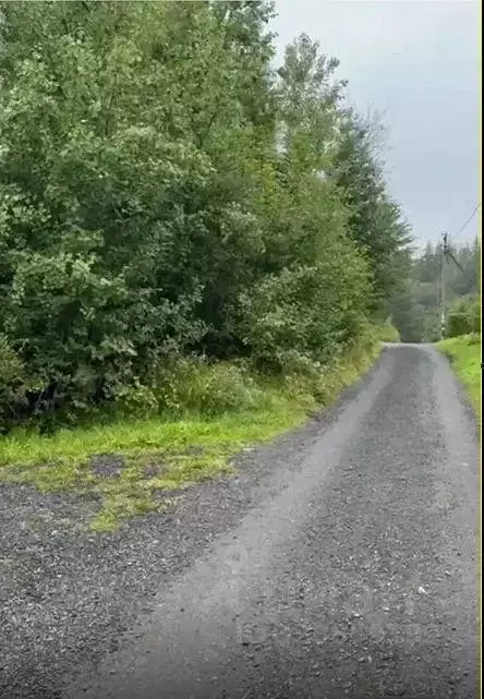 Участок, 5.1 сот., сельхоз (снт или днп) - Фото 1