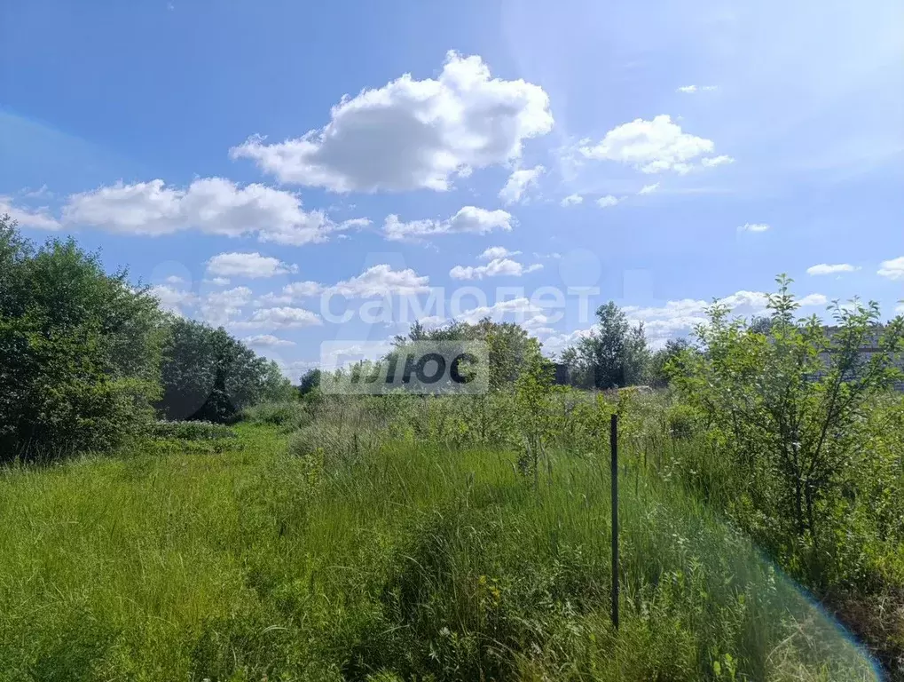 Участок 10 сот. (СНТ, ДНП) - Фото 0