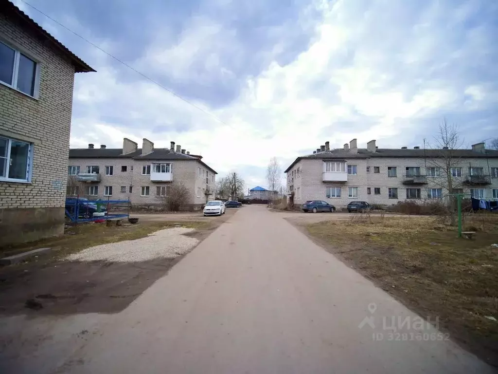 2-к кв. Псковская область, Островская волость, д. Городище ул. ... - Фото 1