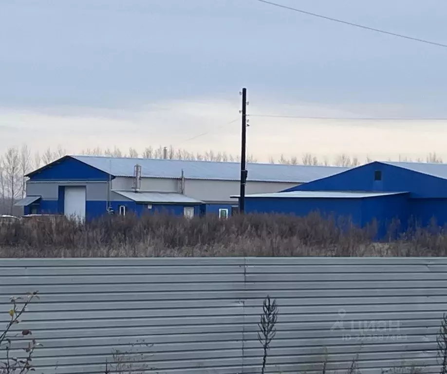 Склад в Воронежская область, Новоусманский район, Усманское 1-е с/пос, ... - Фото 1