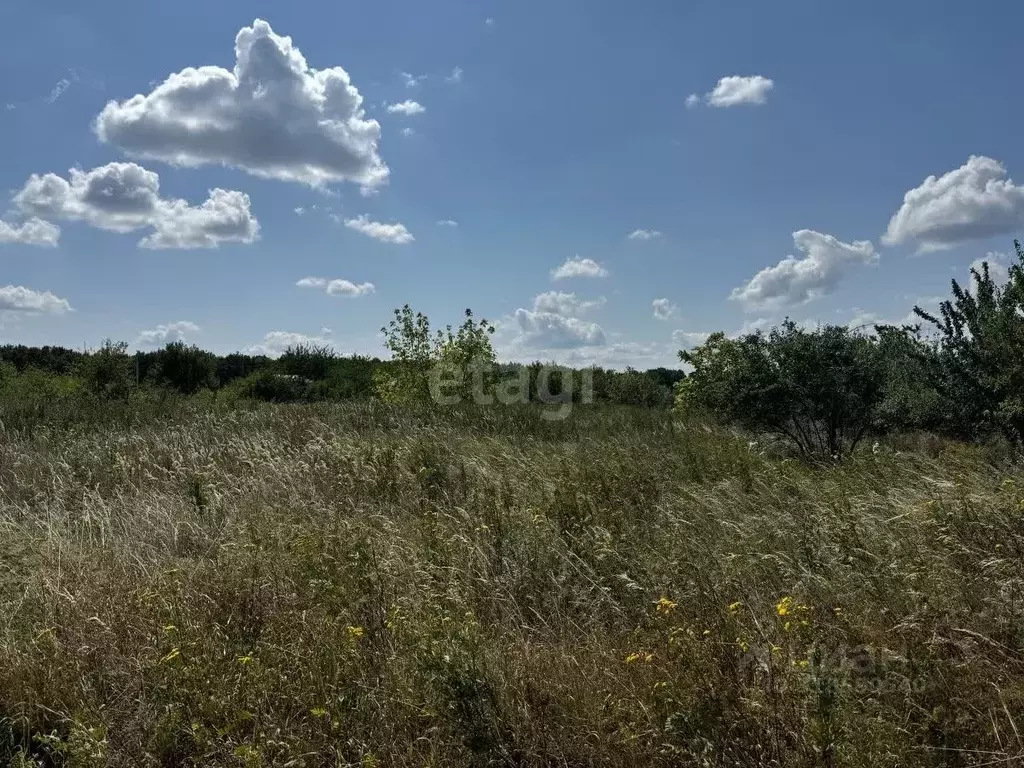 Участок в Белгородская область, Белгородский район, Бессоновское ... - Фото 1