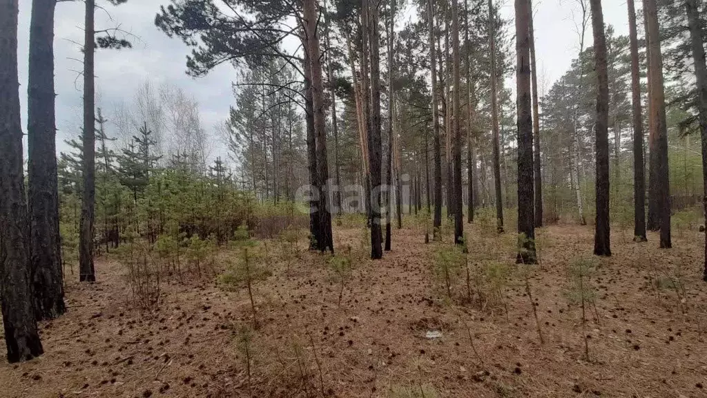 Участок в Забайкальский край, Читинский район, с. Смоленка  (8.1 сот.) - Фото 1