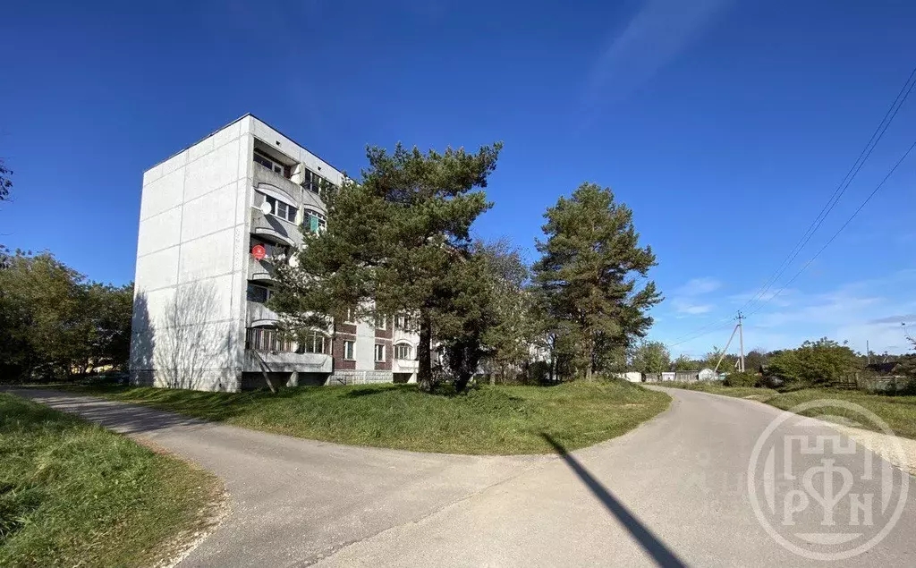 2-к кв. Ленинградская область, Волосовский район, Сабское с/пос, д. ... - Фото 2